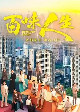 繁花 电视剧 2024 王家卫